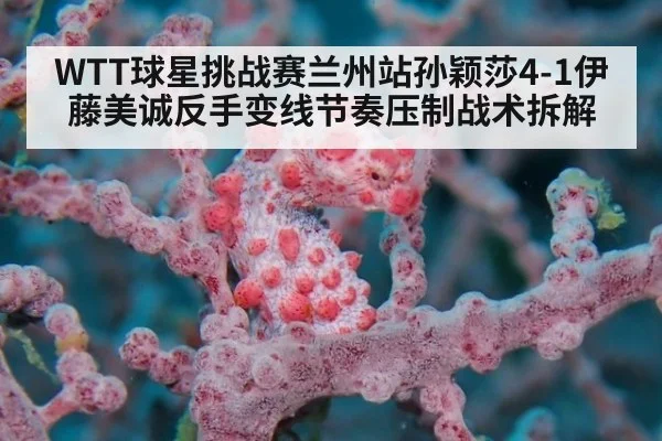 WTT球星挑战赛兰州站孙颖莎4-1伊藤美诚反手变线节奏压制战术拆解